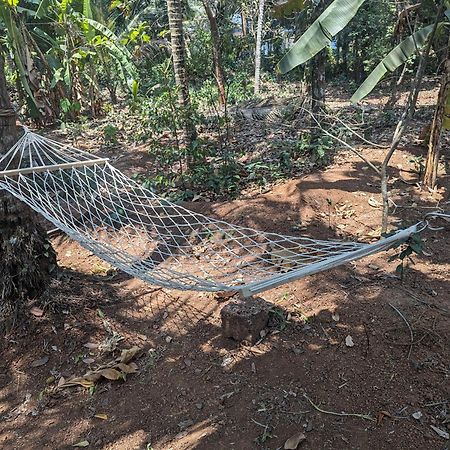 Hill Top Homes Kannur Zewnętrze zdjęcie
