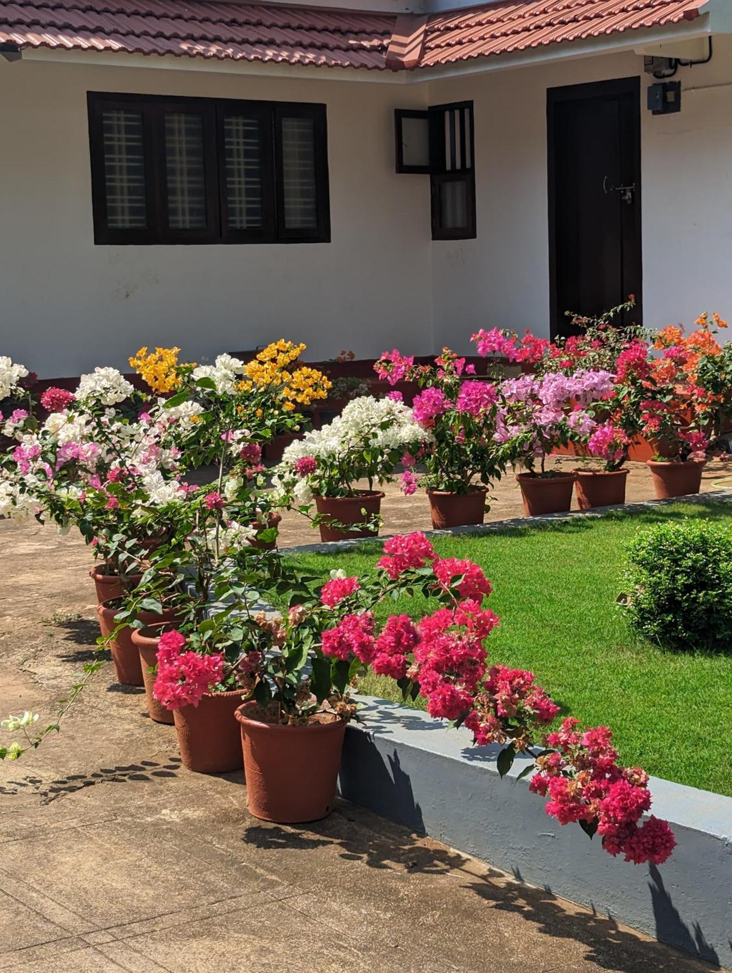 Hill Top Homes Kannur Zewnętrze zdjęcie
