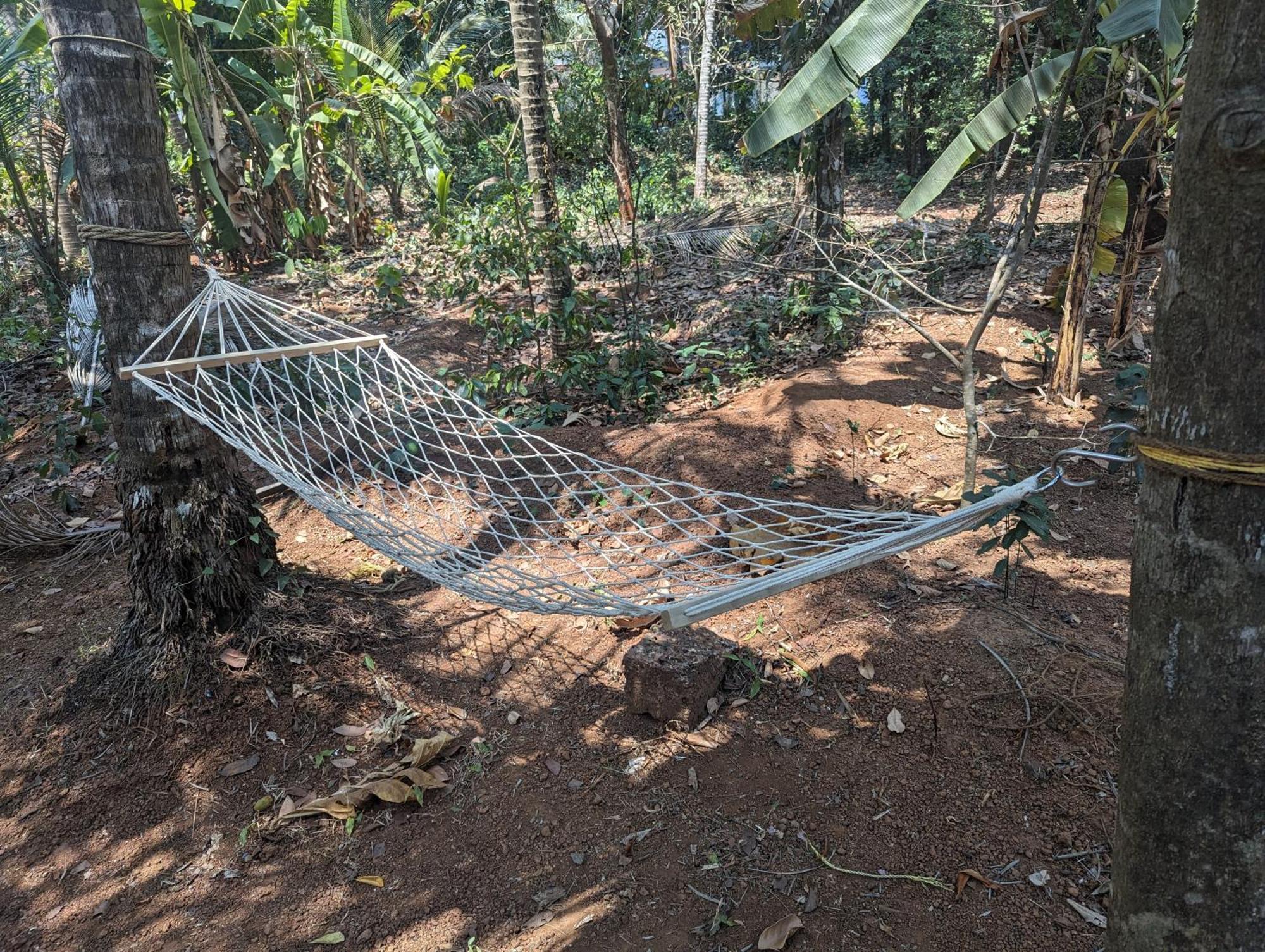 Hill Top Homes Kannur Zewnętrze zdjęcie